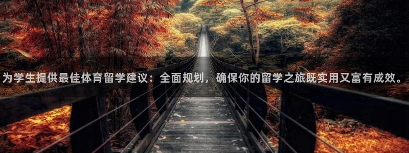 为学生提供最佳体育留学建议：全面规划，确保你的留学之旅既实用又富有成效。