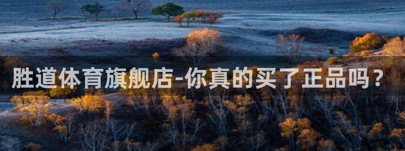 胜道体育旗舰店-你真的买了正品吗？
