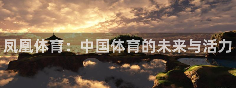 凤凰体育：中国体育的未来与活力