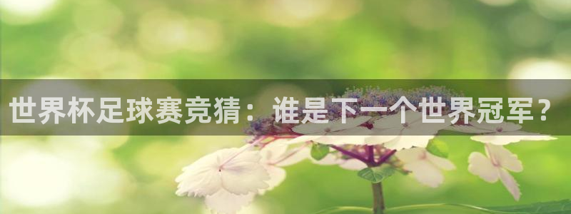 世界杯足球赛竞猜：谁是下一个世界冠军？