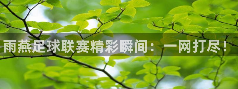 雨燕足球联赛精彩瞬间：一网打尽！