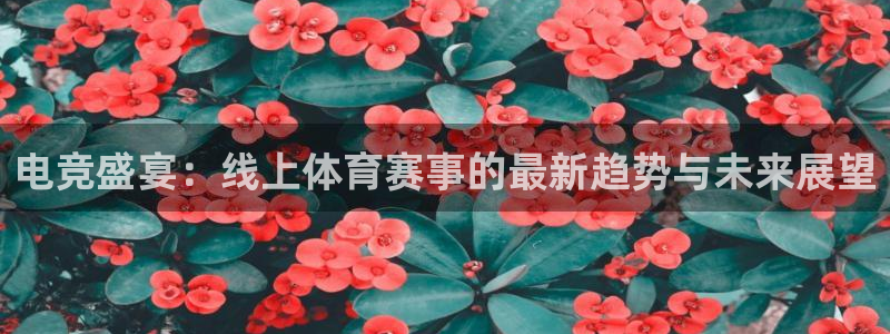 电竞盛宴：线上体育赛事的最新趋势与未来展望