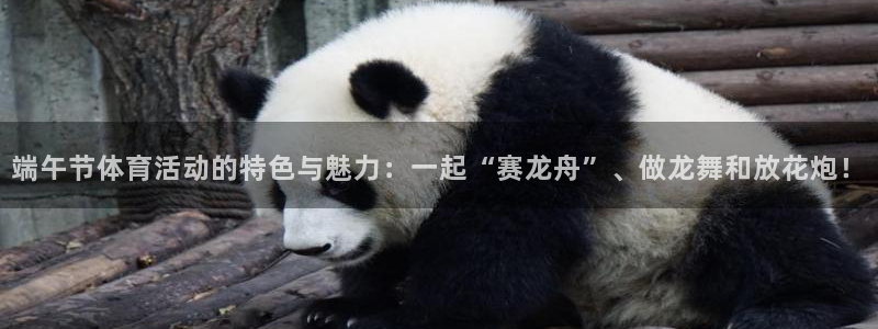 端午节体育活动的特色与魅力：一起“赛龙舟”、做龙舞和放花炮！