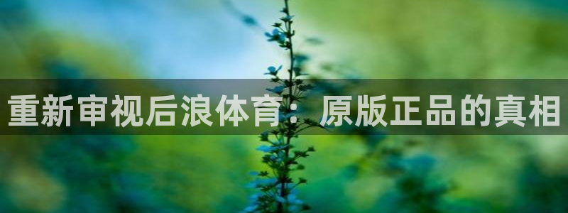 球派体育app下载免费看球赛直播：重新审视后浪体育：原版正品的真相
