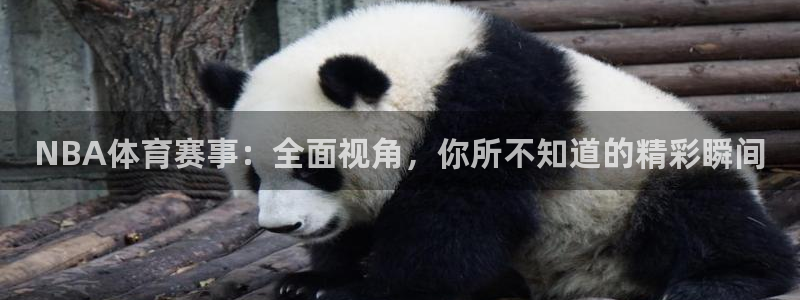 球派体育app下载最新版：NBA体育赛事：全面视角，你所不知道的精彩瞬间