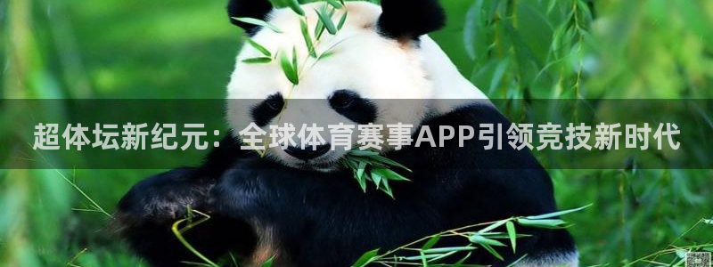 球派体育直播：超体坛新纪元：全球体育赛事APP引领竞技新时代