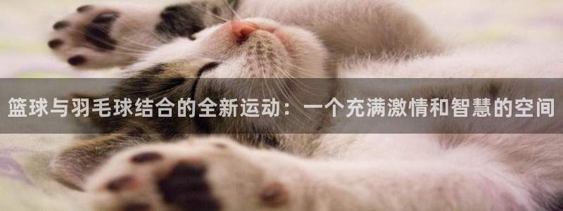 球派：篮球与羽毛球结合的全新运动：一个充满激情和智慧的空间